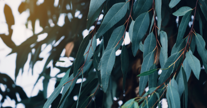 Keys to Stress management 